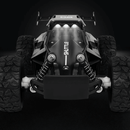 Rally Truck Original - Tartaruga Shop