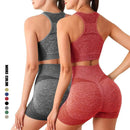 Conjunto Fitness Sem Costura Para Mulheres, Shorts de Ginástica - Tartaruga Shop