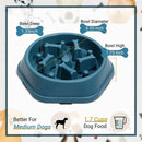 Tigela de comida anti-asfixia para cães, Alimentadores lentos para cães, Alimentador para animais de estimação dieta saudável - Tartaruga Shop